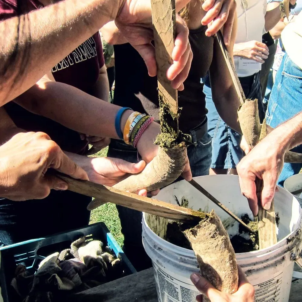 Quand les nazis s'accaparaient la biodynamie