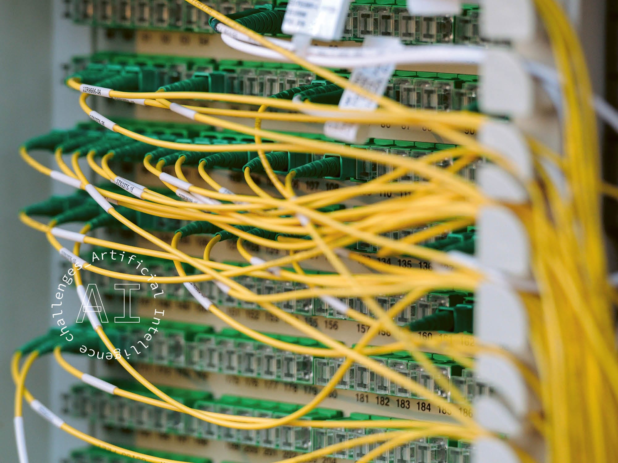 Quand le passé se perpétue dans l'avenir