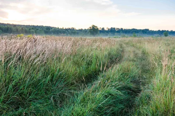 Le paysage de lumière : avenir du paysage culturel ?