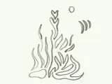 Dessin abstrait de lignes ondulées évoquant des formes organiques et naturelles.