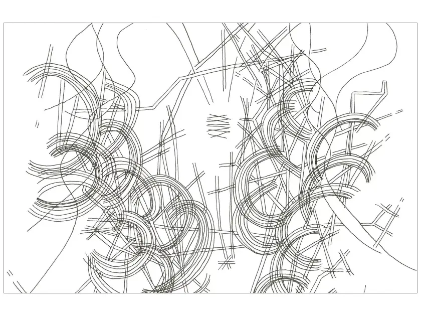 Composition abstraite en noir et blanc avec des lignes entrelacées et des formes organiques.