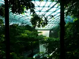 Une grande cascade intérieure entourée de verdure, sous un toit en verre.